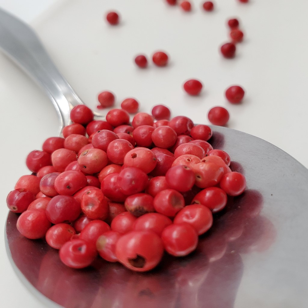 世田谷スパイスショップ